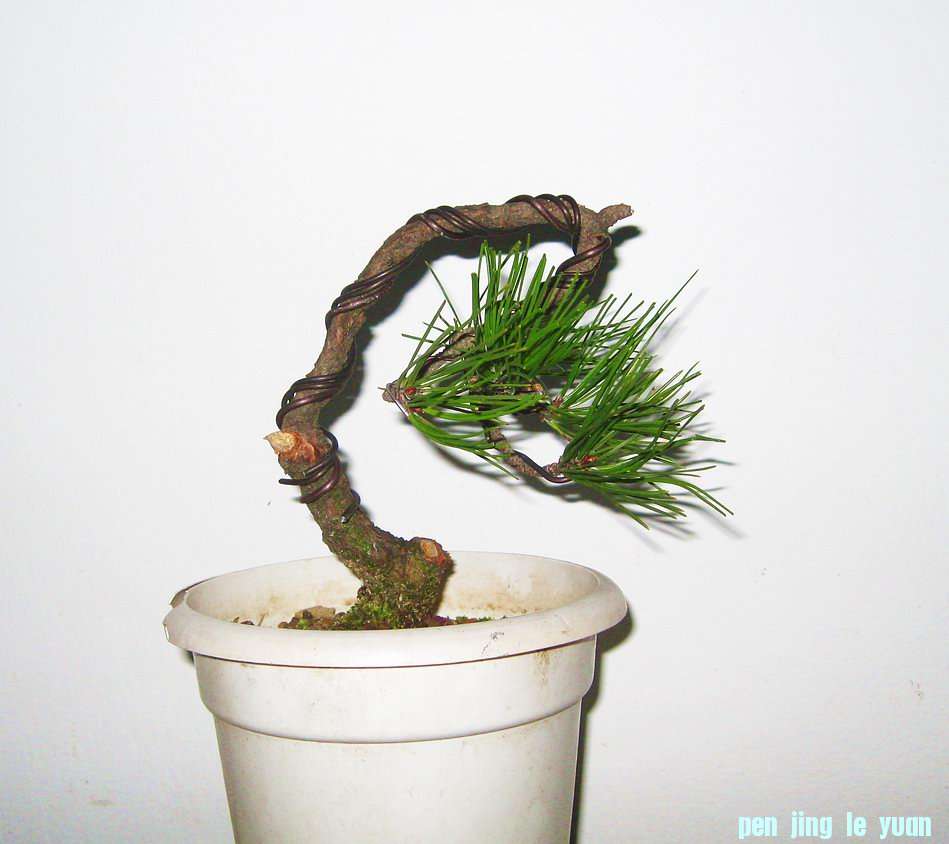 IMG_0b32.JPG