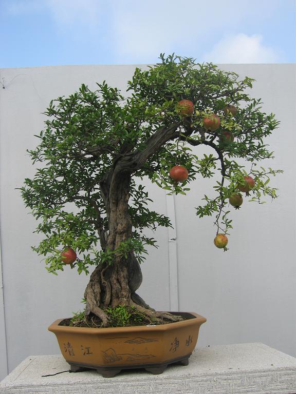 Ƭ 010.jpg