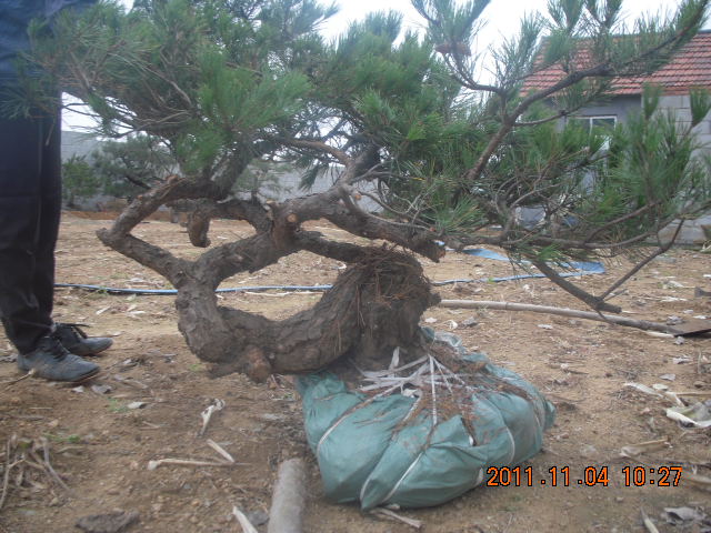 DSCN2132.JPG