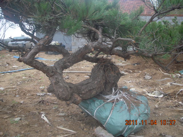 DSCN2133.JPG