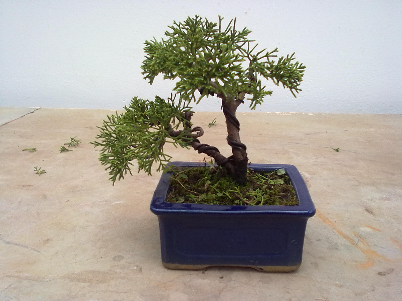 20111105954.jpg
