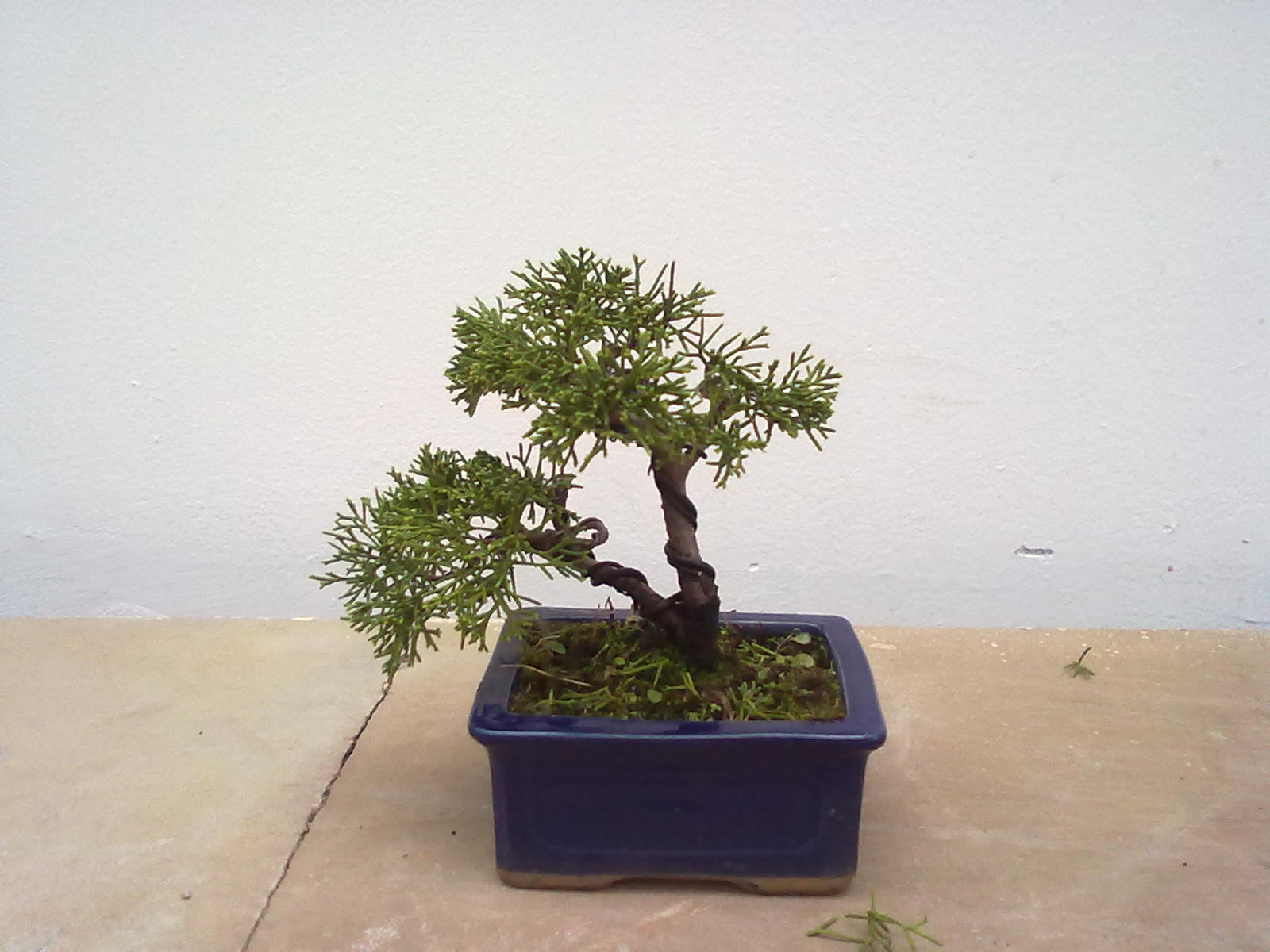 20111105952.jpg