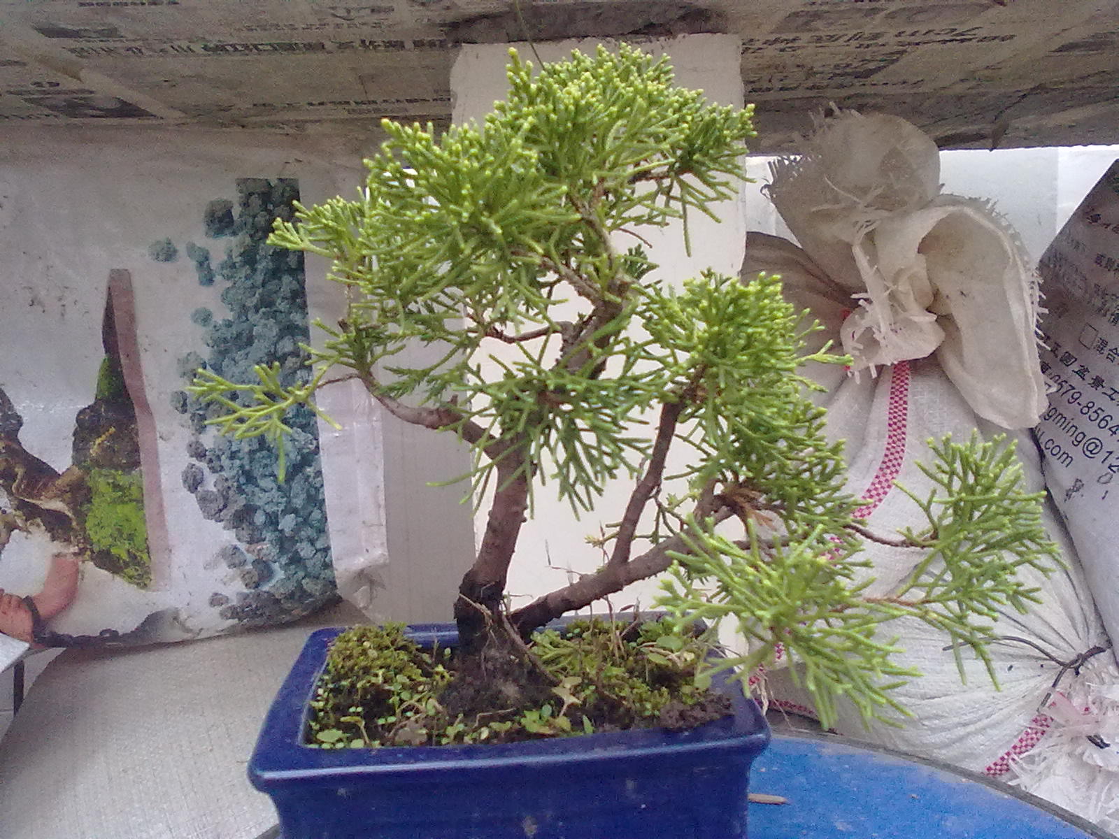 20111105948.jpg