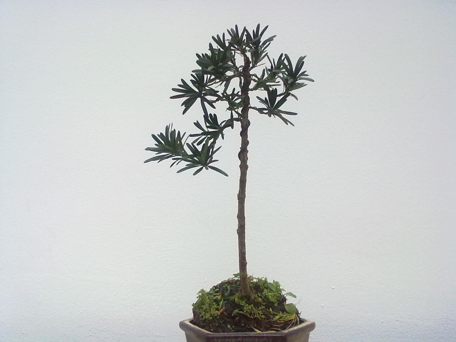 20111106968.jpg