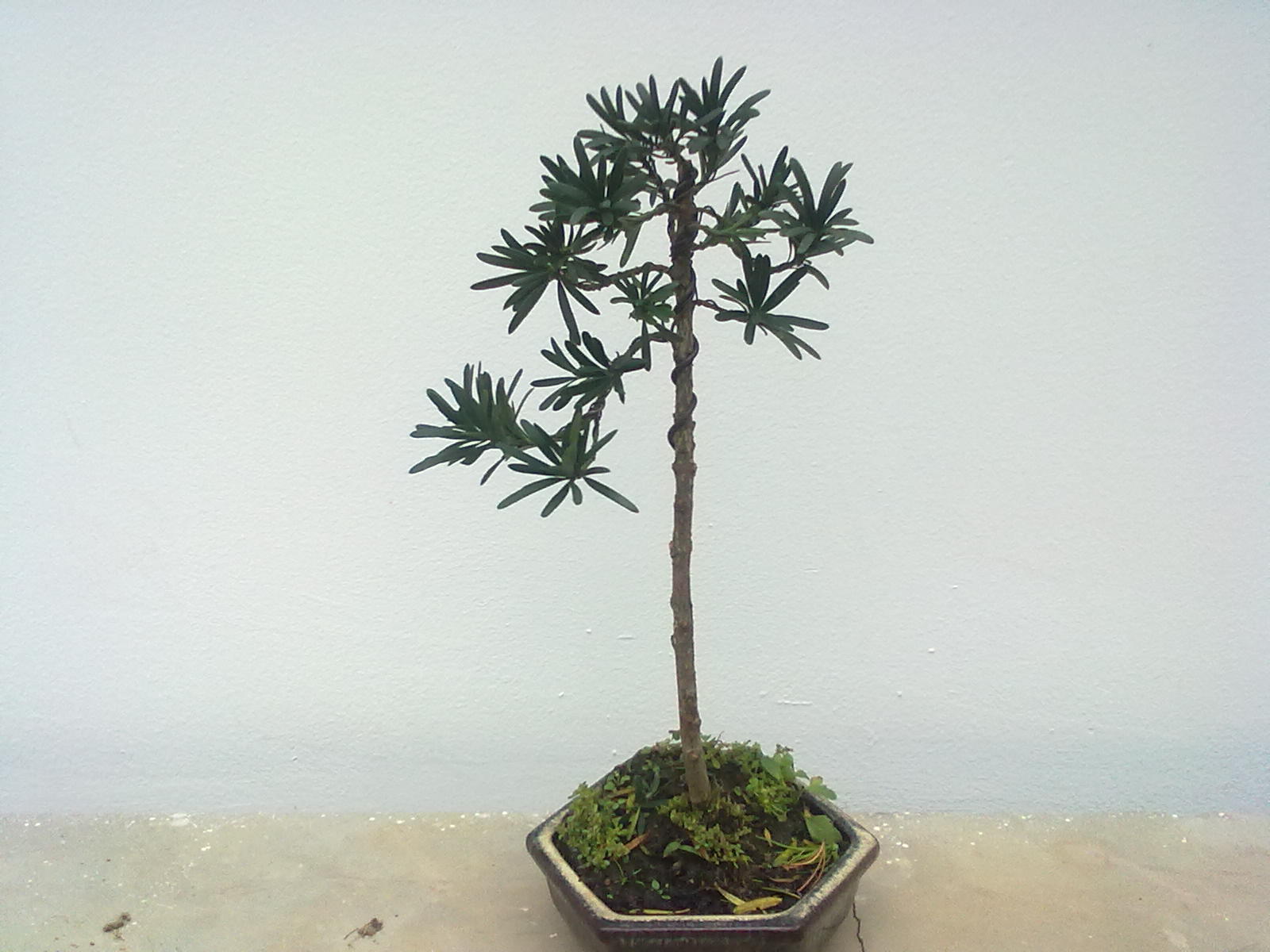 20111106969.jpg