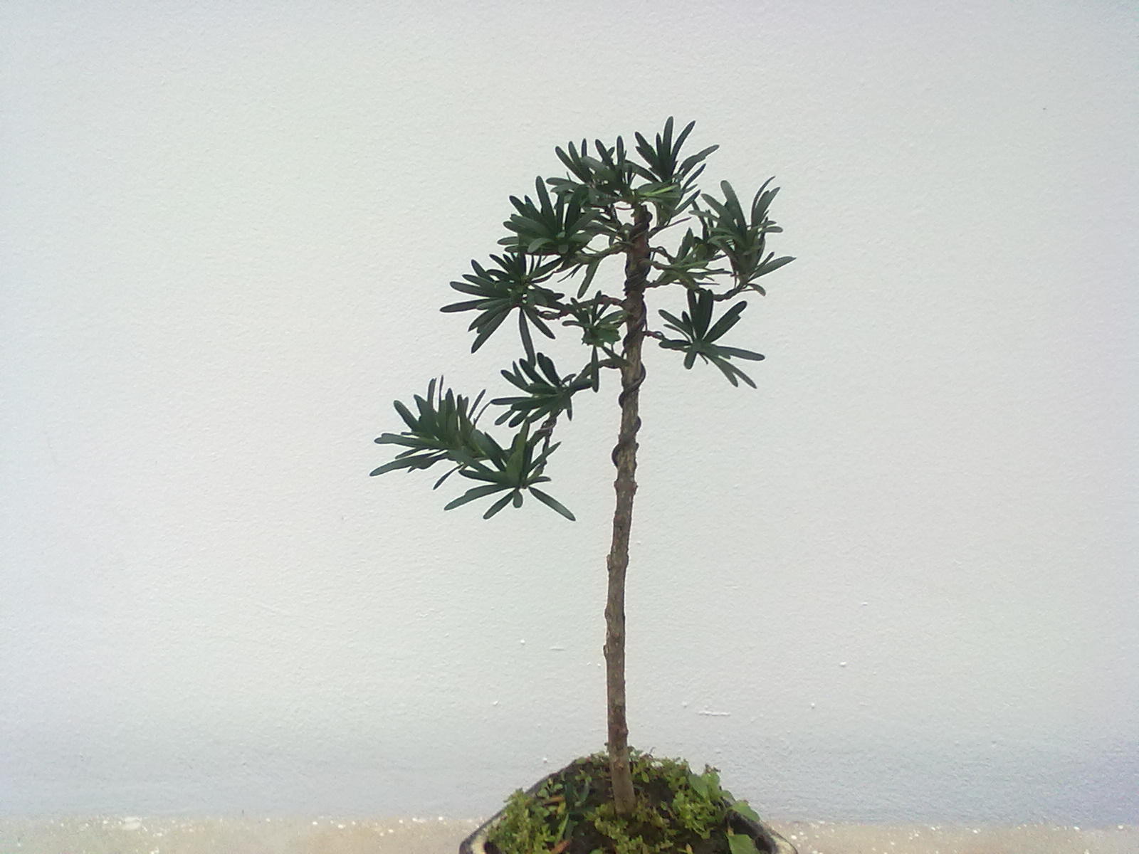 20111106965.jpg