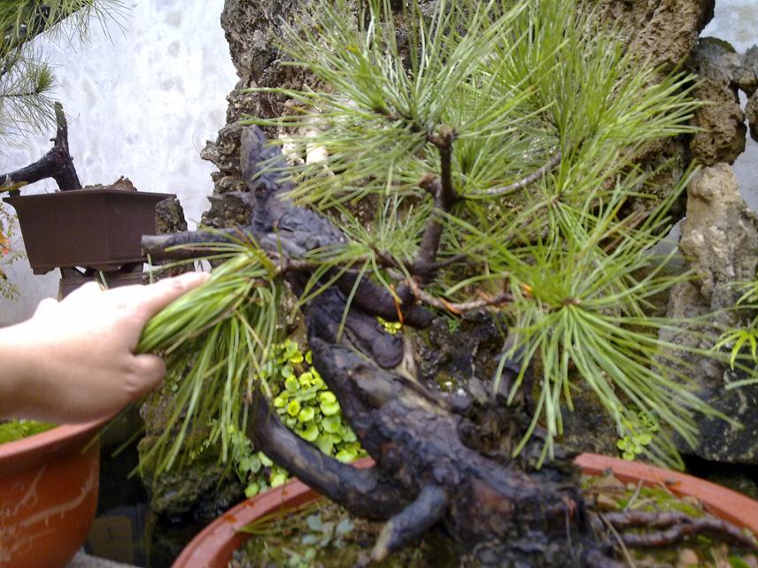 20111105013.jpg