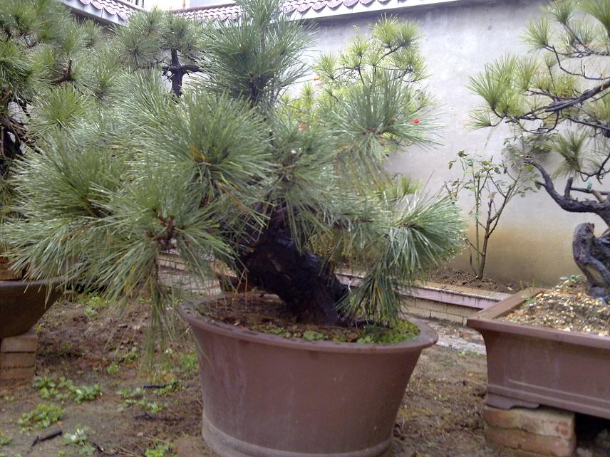 20111105001.jpg