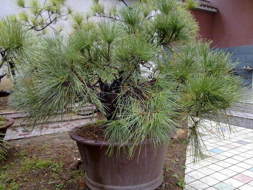 20111105003.jpg
