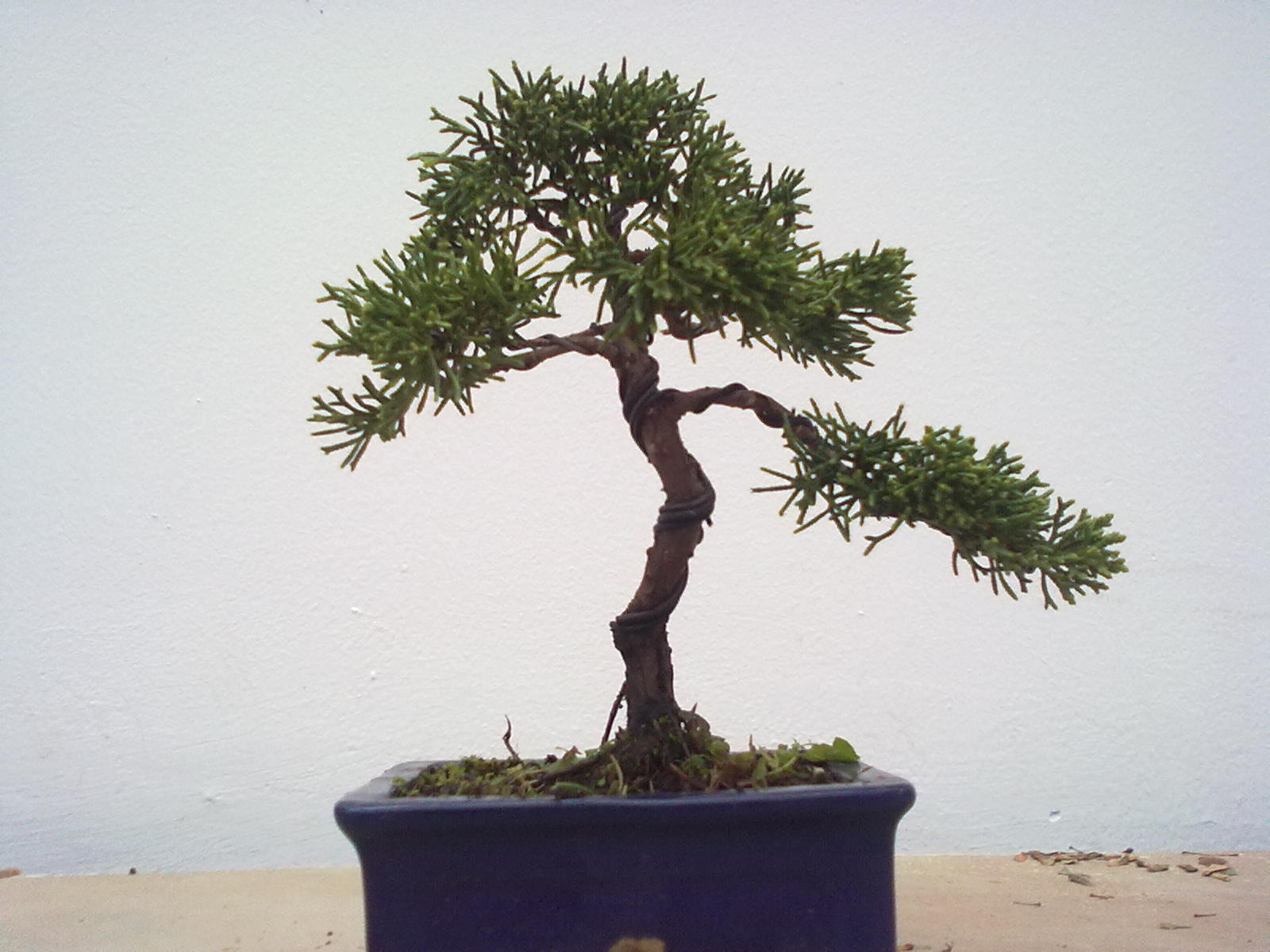 20111108985.jpg