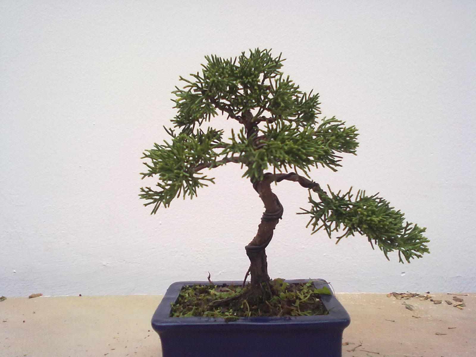 20111108986.jpg