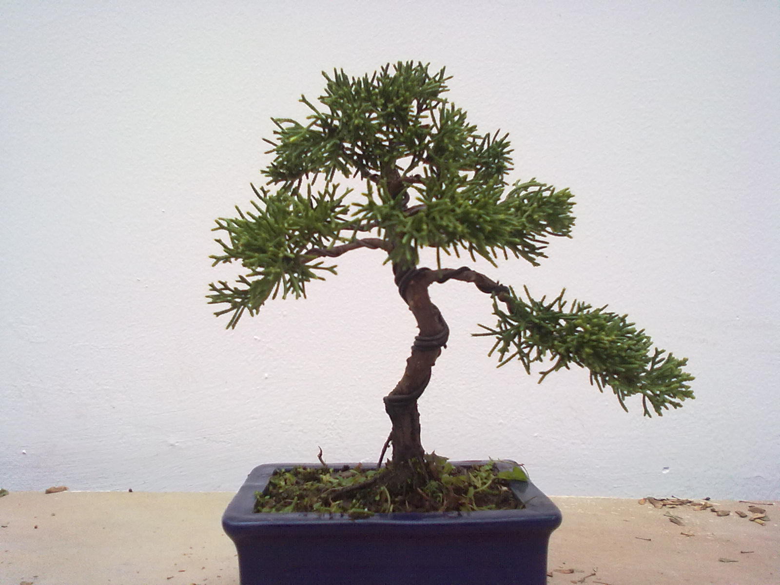 20111108987.jpg