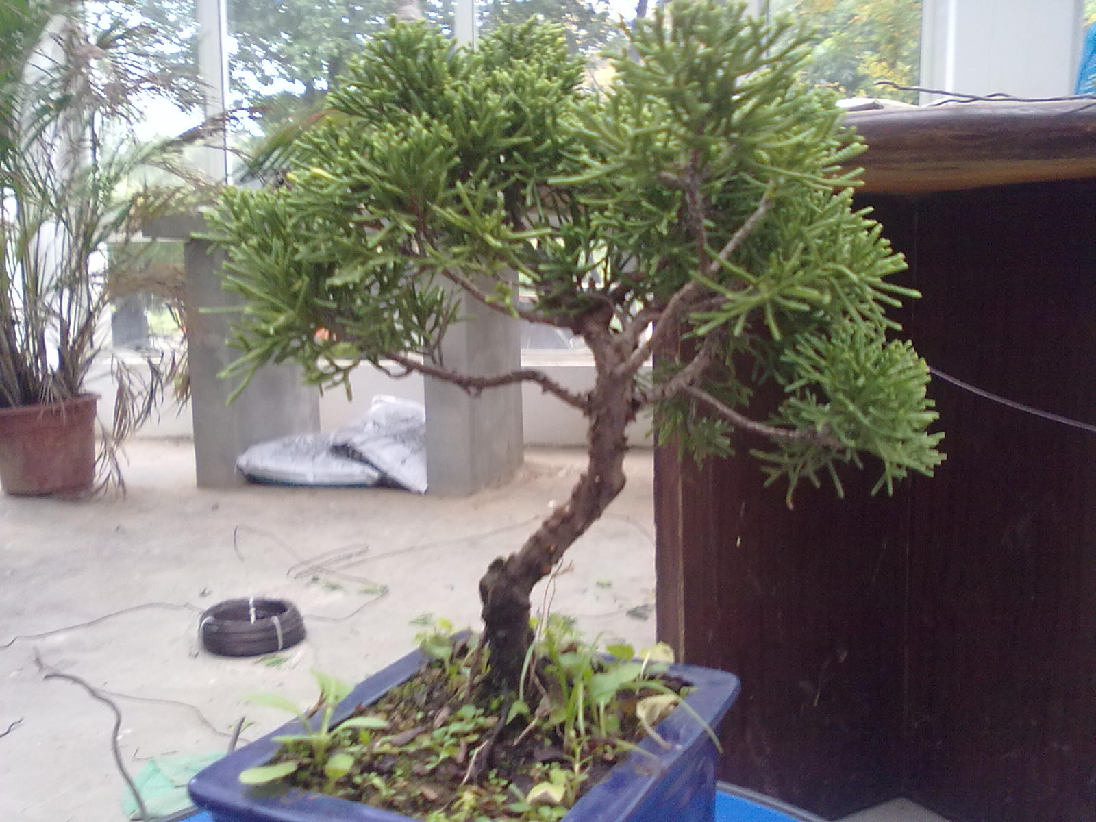 20111108983.jpg
