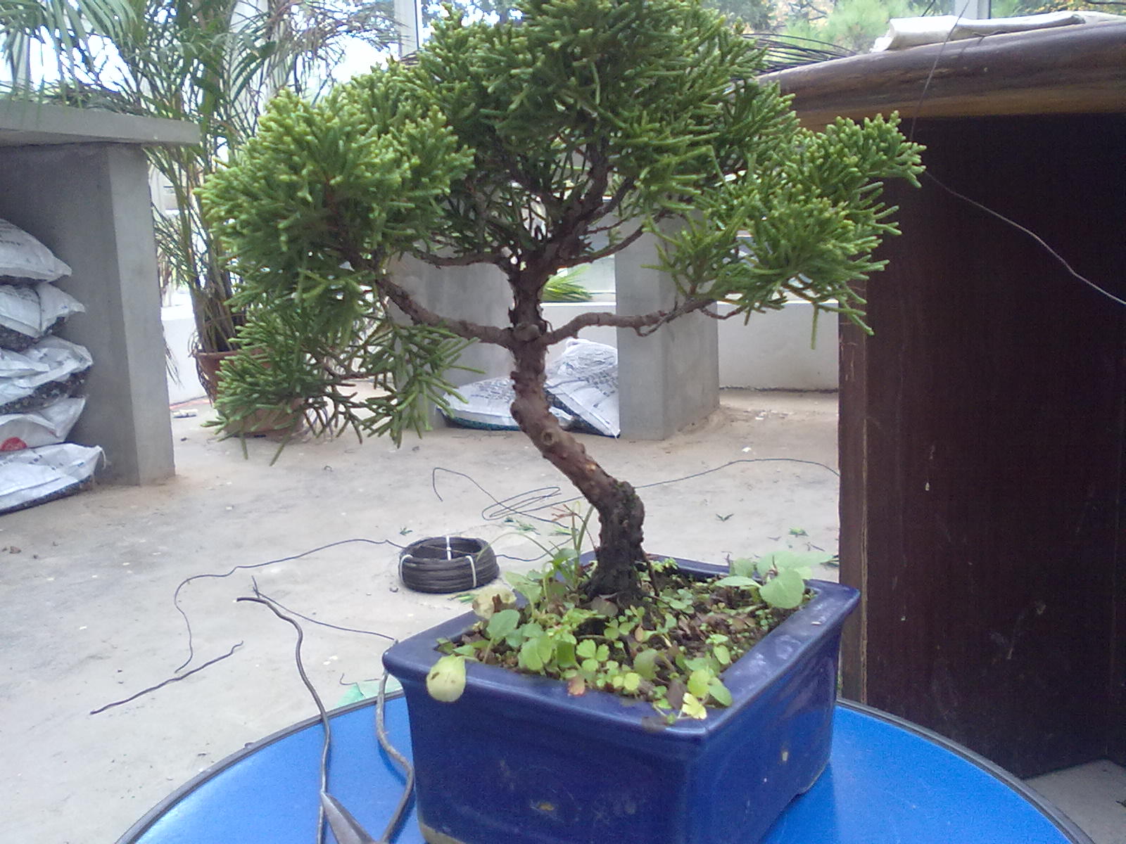 20111108984.jpg