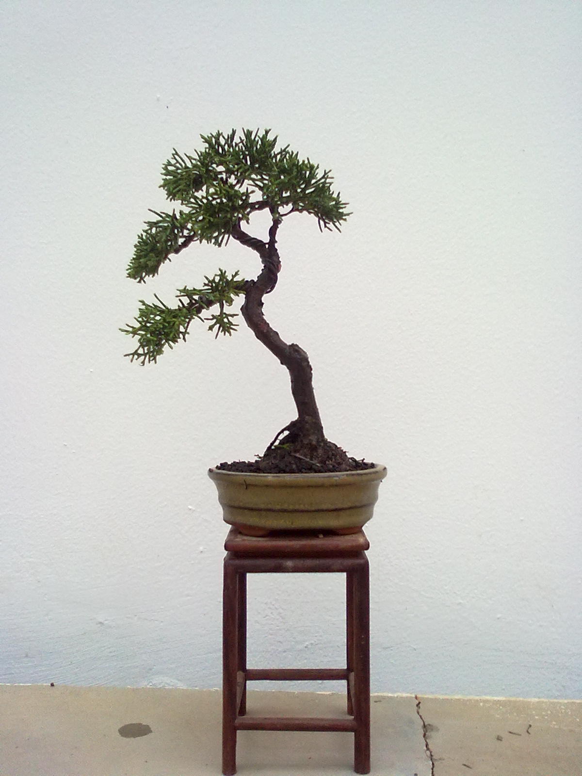 20111109996.jpg