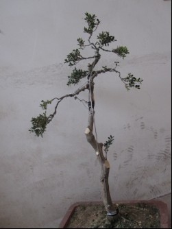 修改后.jpg