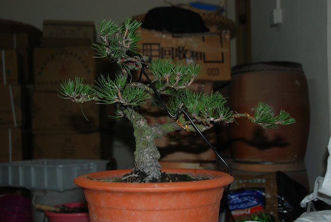 DSC_0397.JPG