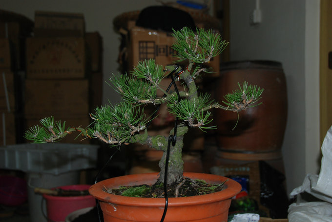 DSC_0395.JPG