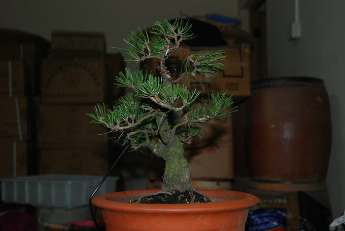 DSC_0396.JPG