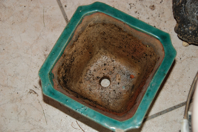 DSC_0389.JPG