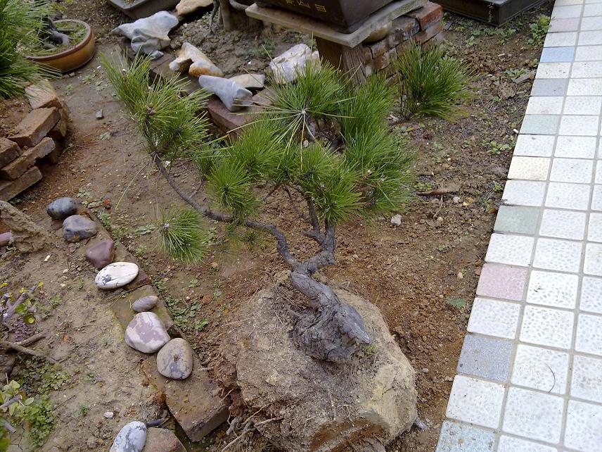 20111114037.jpg