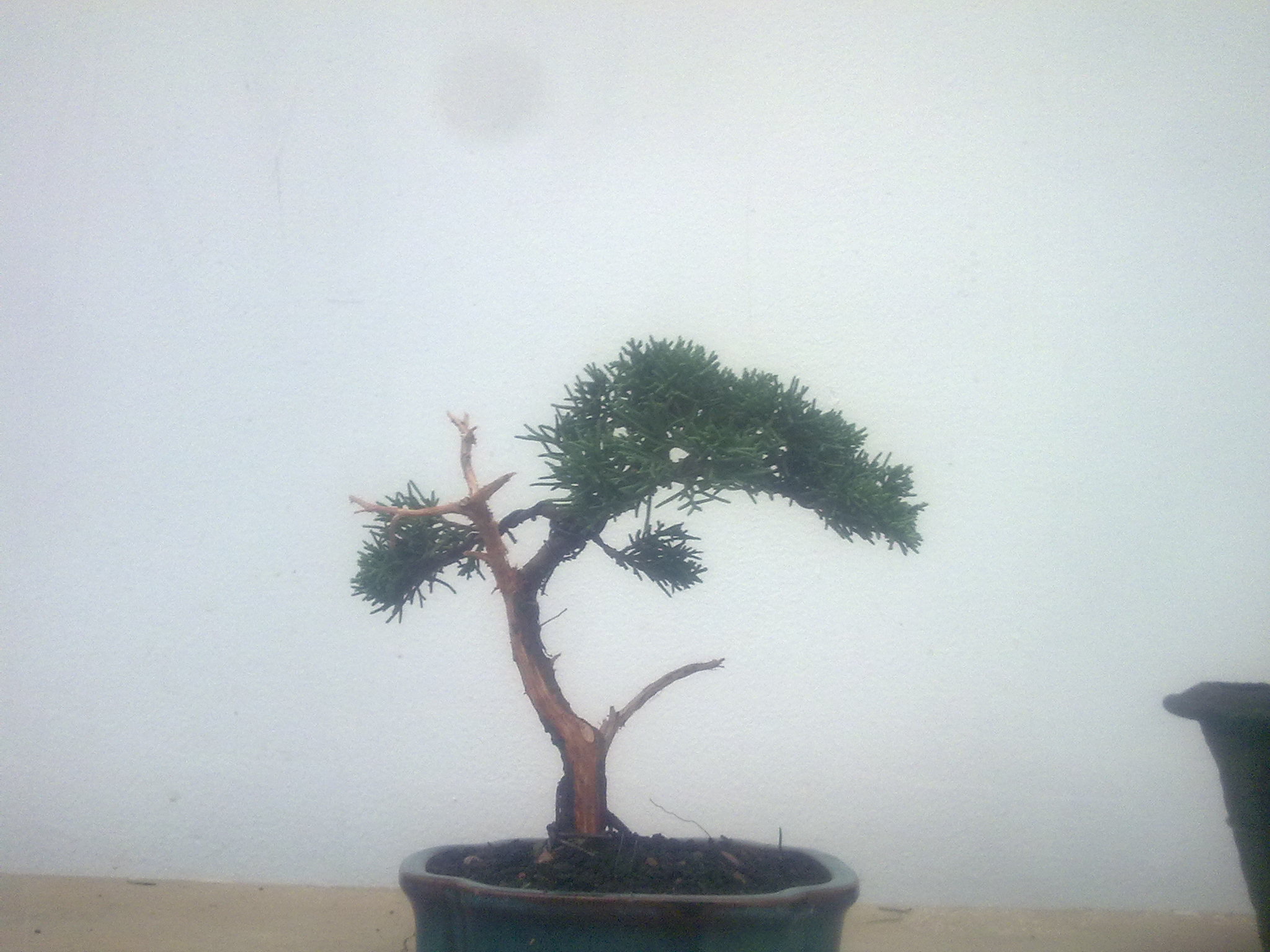 20101108354.jpg