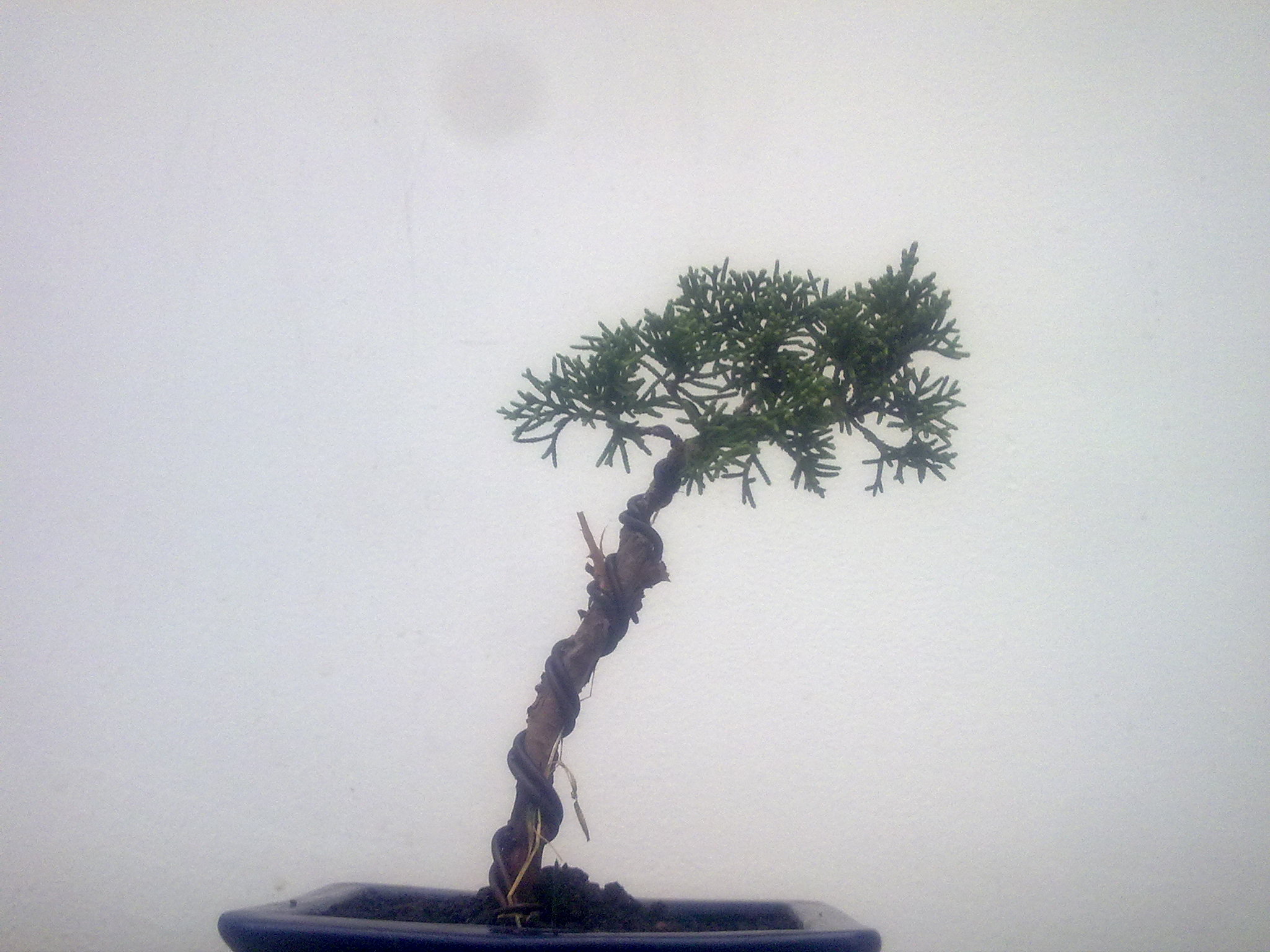 20101108355.jpg