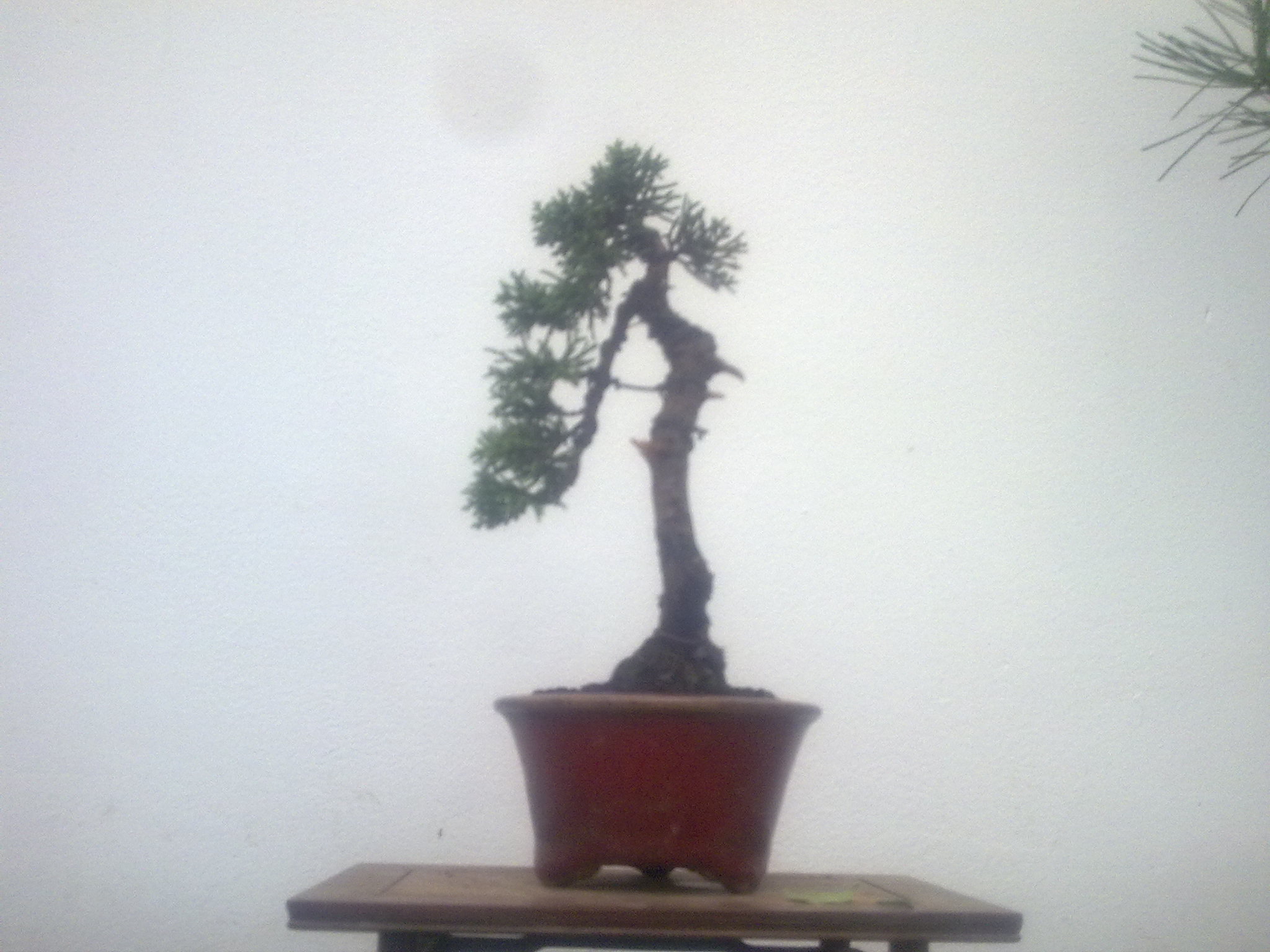 20111030322.jpg