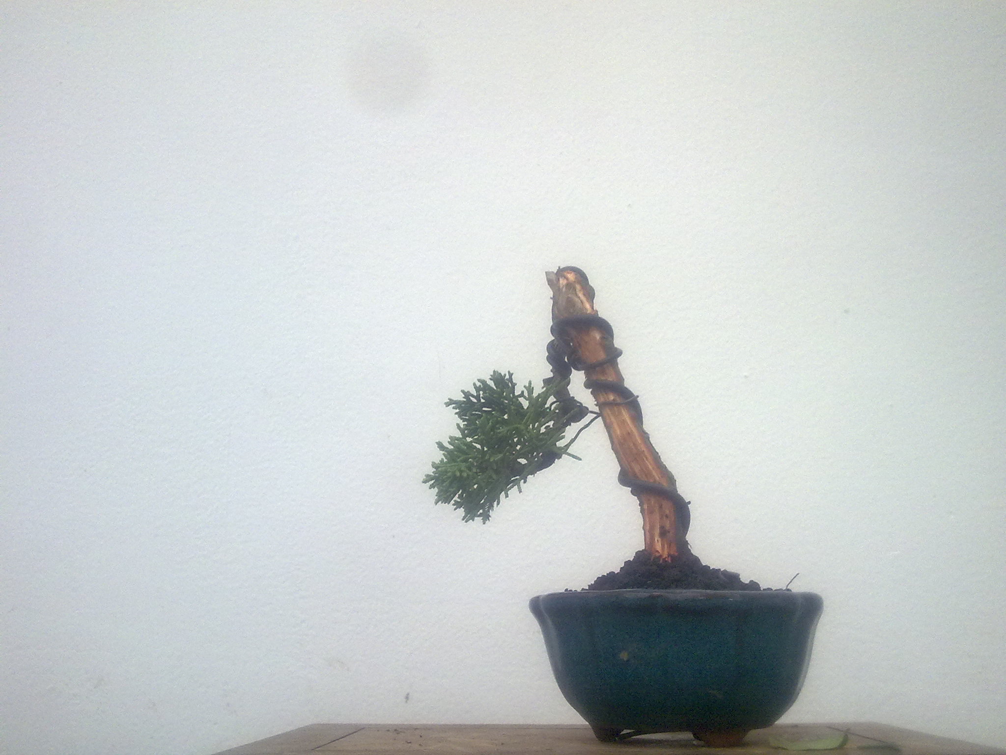 20111030324.jpg