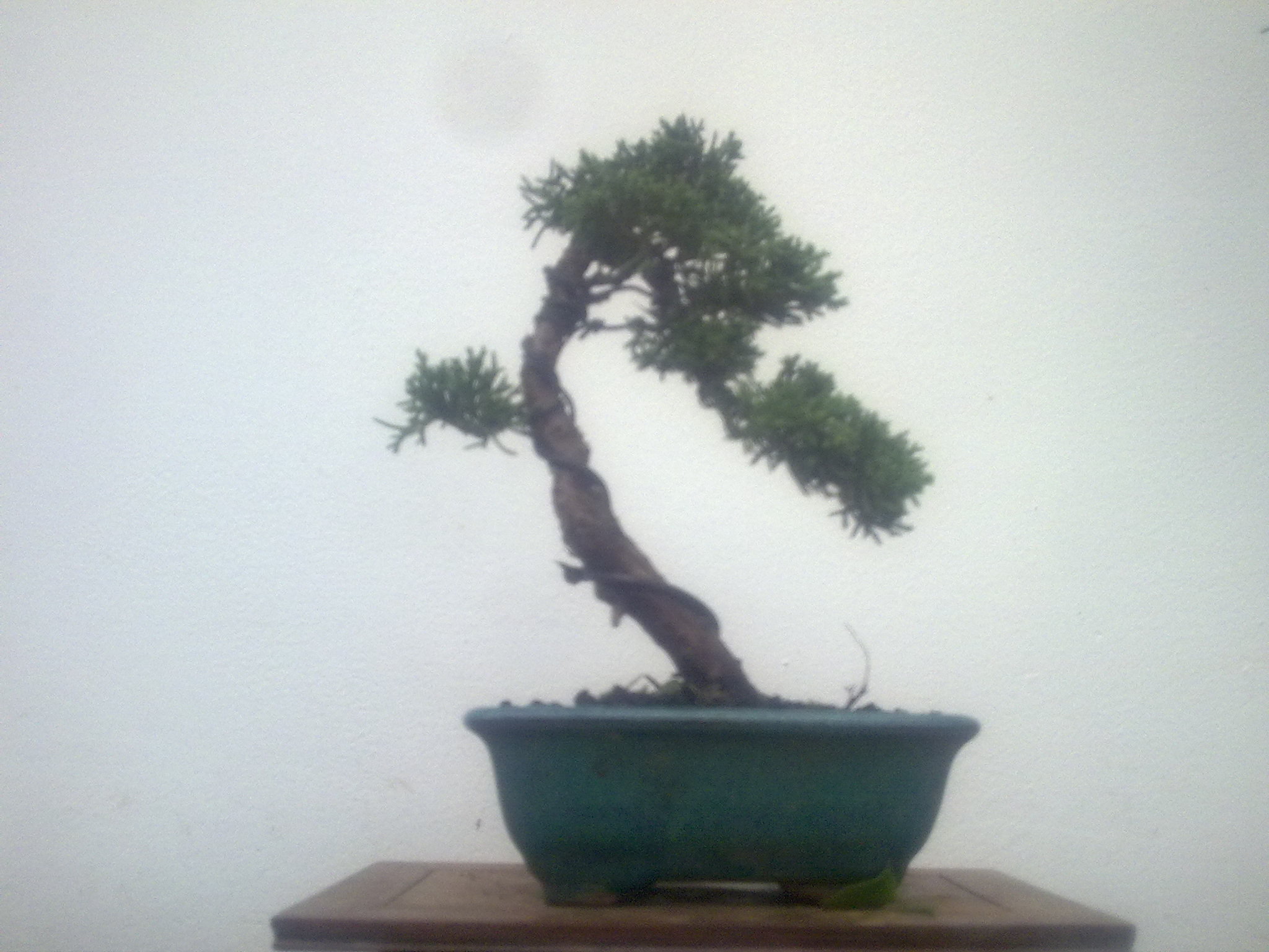 20111030326.jpg