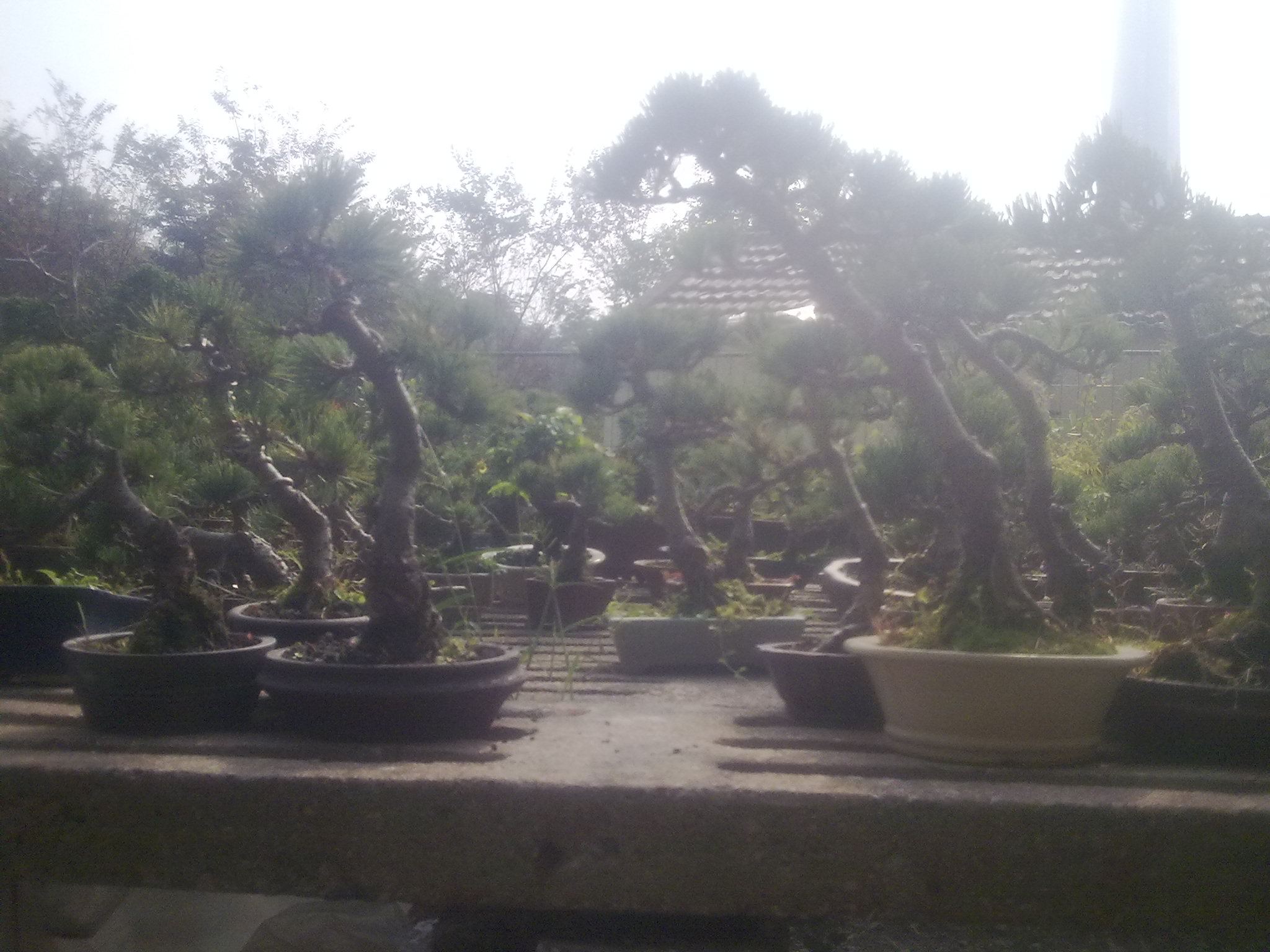 20111031327.jpg