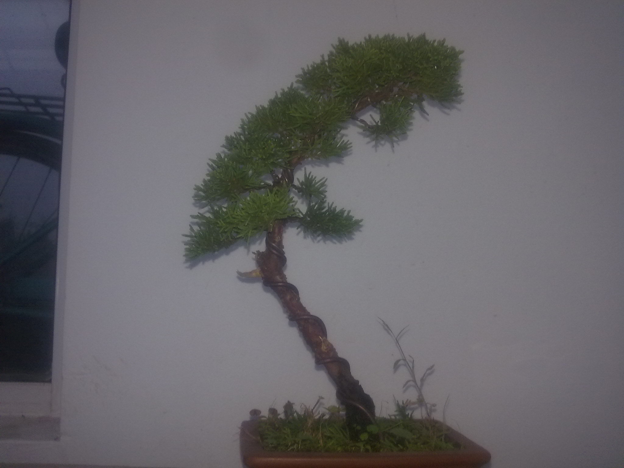 20111105345.jpg