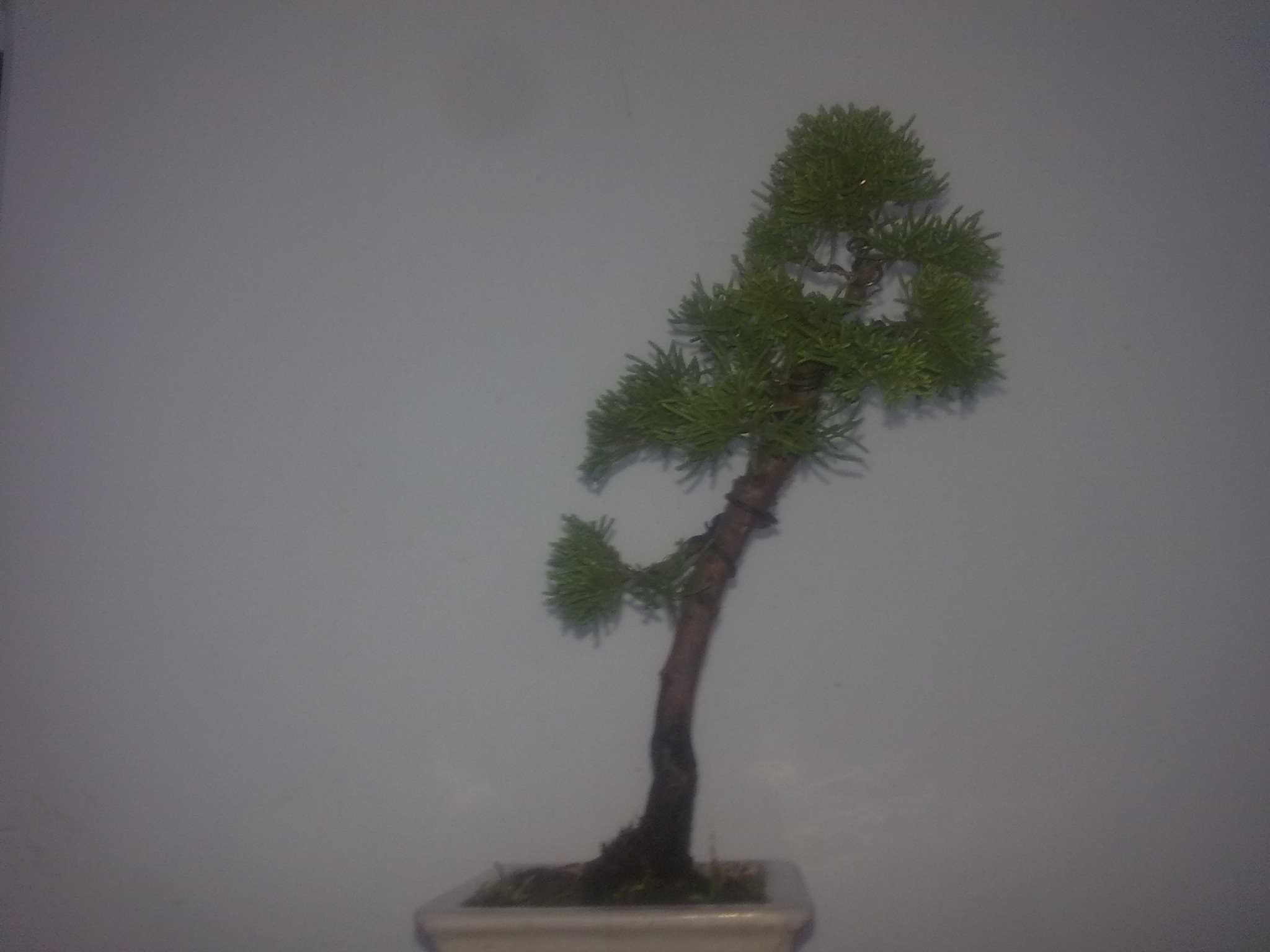 20111105346.jpg