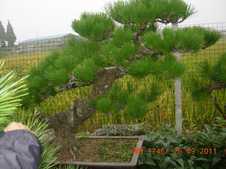 DSCN4420.JPG