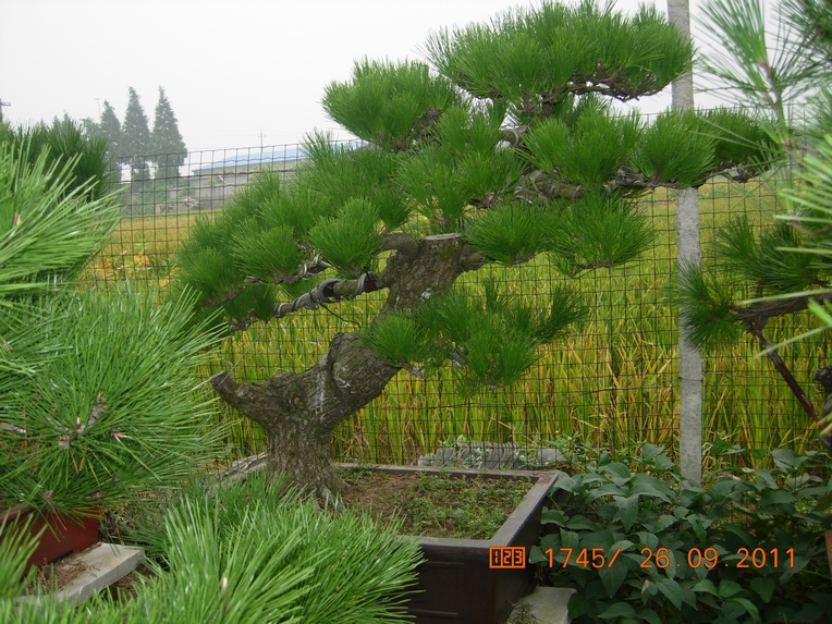 DSCN4421.JPG
