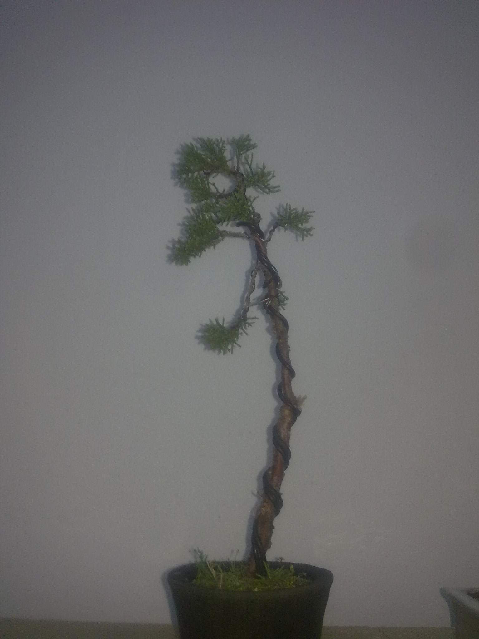20111105348.jpg