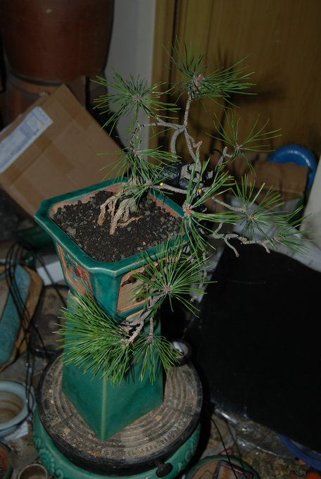 DSC_0427.JPG