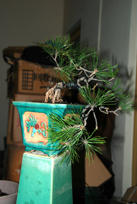 DSC_0420.JPG