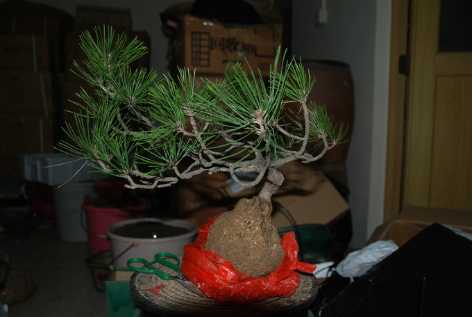 DSC_0418.JPG