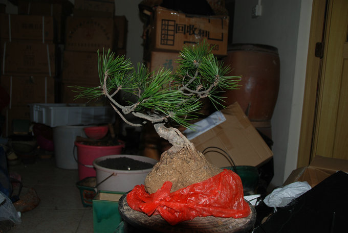 DSC_0417.JPG