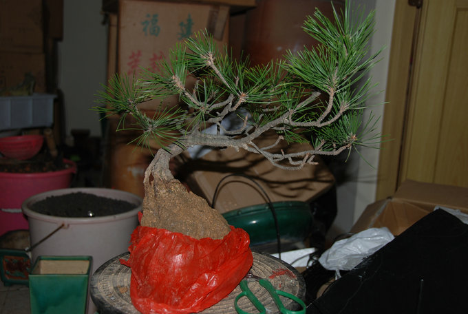 DSC_0415.JPG