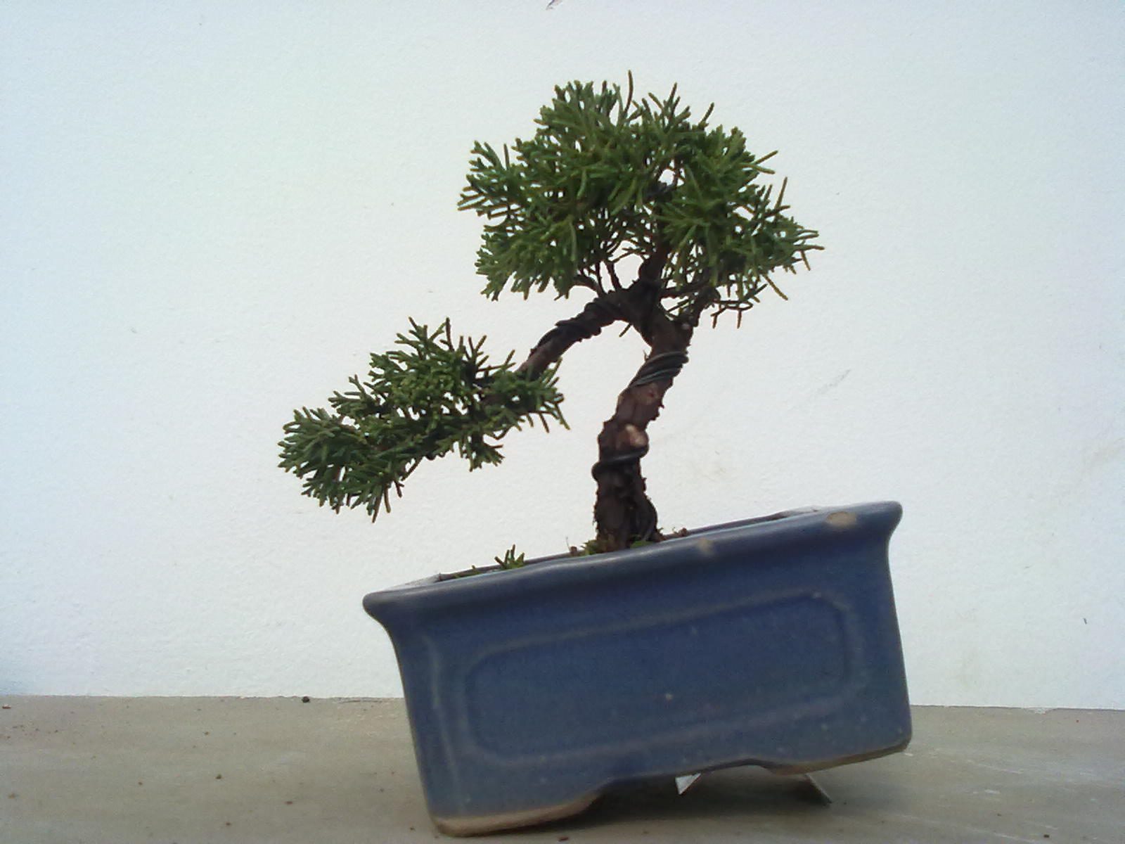 201111161028.jpg