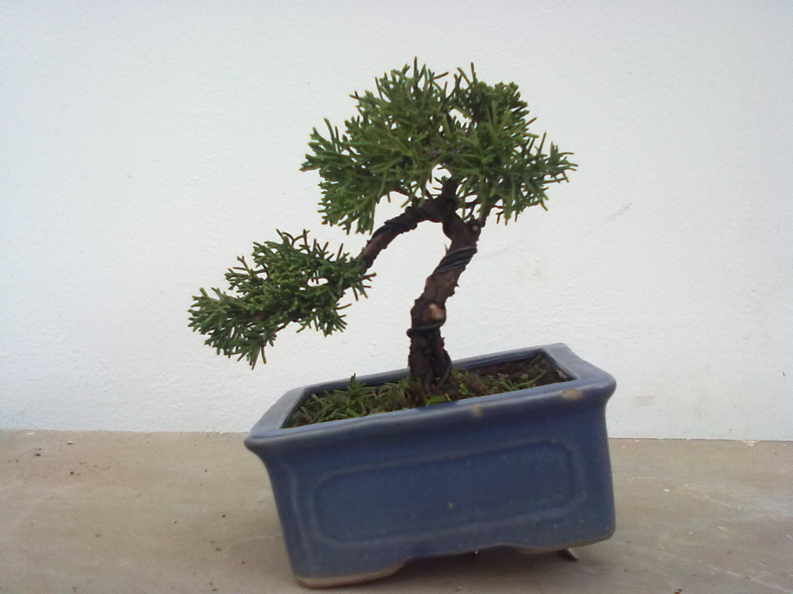 201111161034.jpg