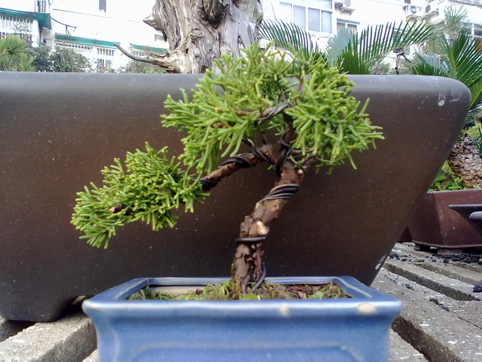 201111161036.jpg