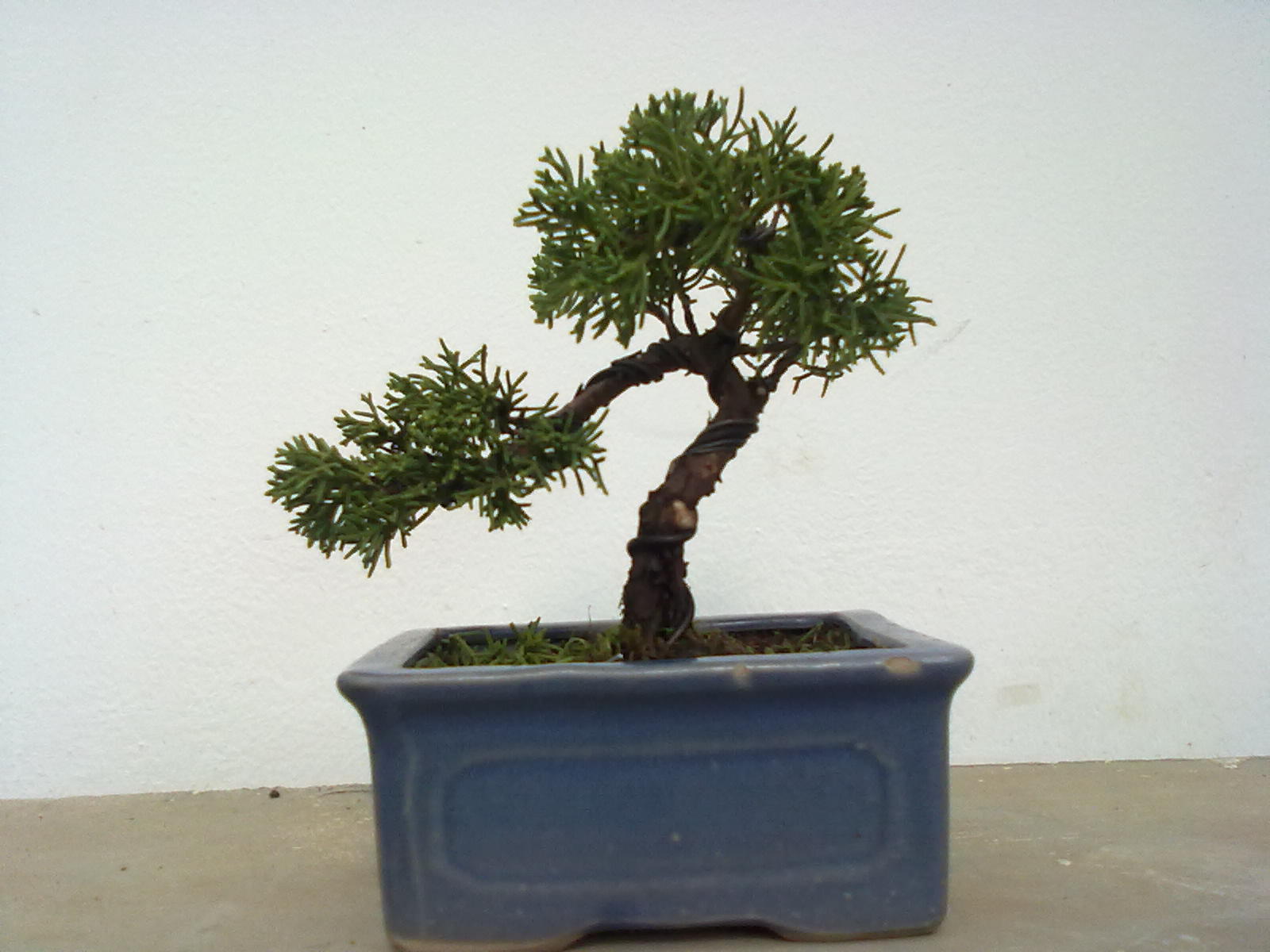 201111161024.jpg