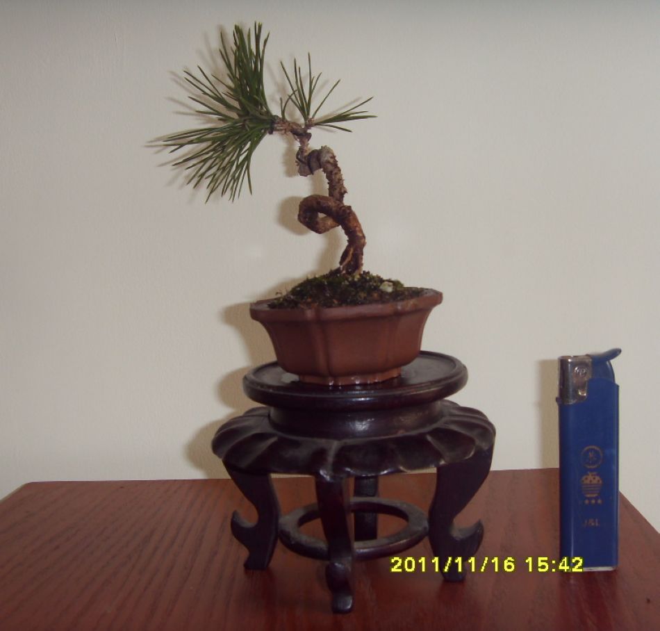 SDC12310.JPG