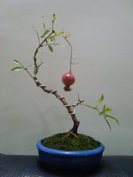  DSC02675.JPG