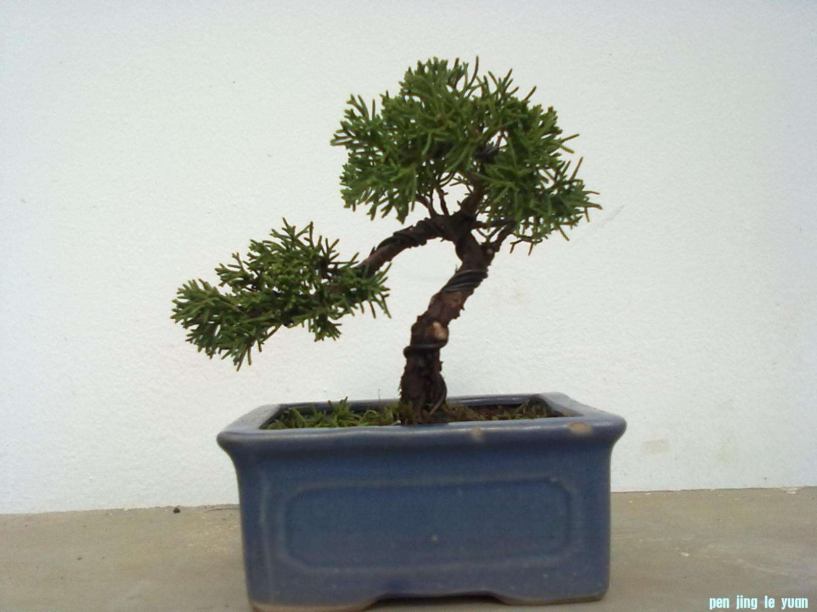 201111161024.jpg