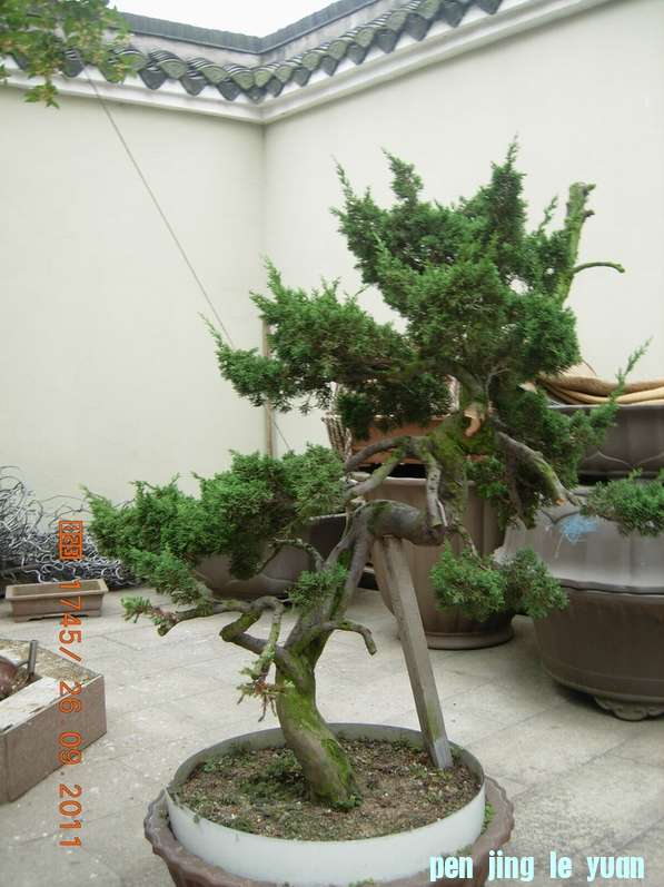 DSCN4428.JPG