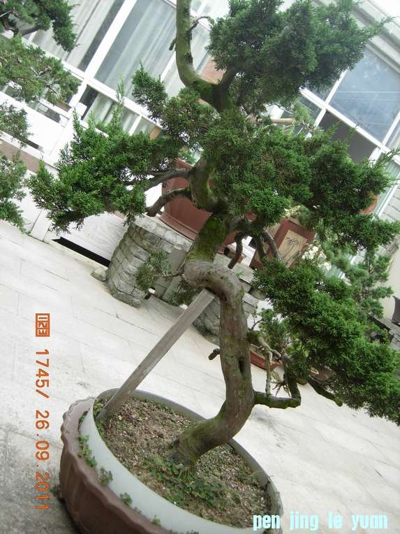 DSCN4429.JPG
